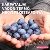 Kép 4/5 - KLÁRA ÉDES ÁFONYABOR 0,75L