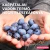 Kép 4/5 - KLÁRA ÉDES ÁFONYABOR 0,75L