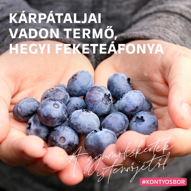 KLÁRA ÉDES ÁFONYABOR 0,75L